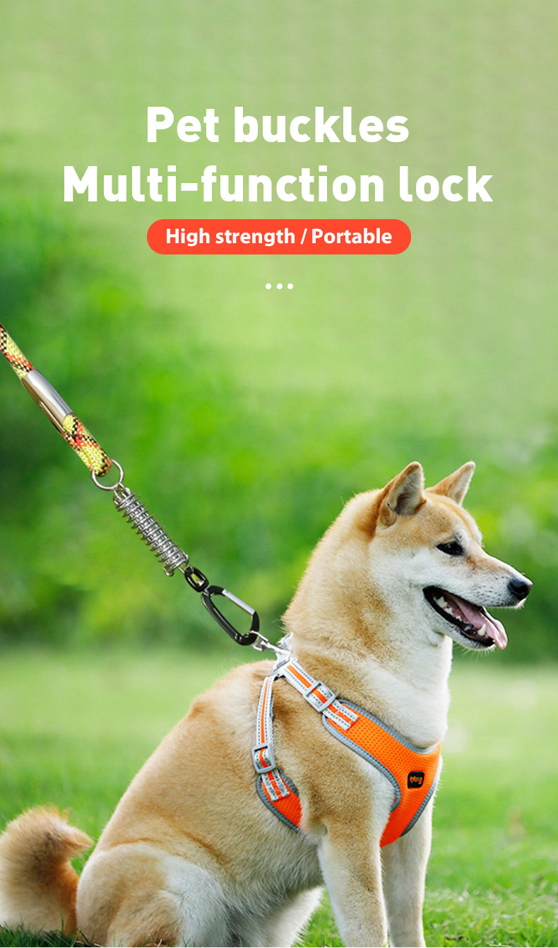 Dog buckle